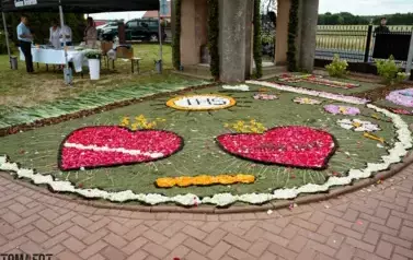 TOM01786