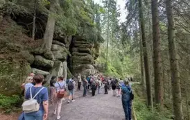 PXL_20250725_110756639