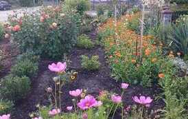 IMG-20260114-WA0014