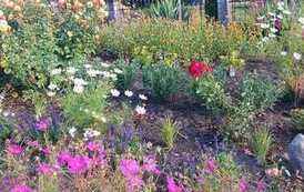 IMG-20260114-WA0008