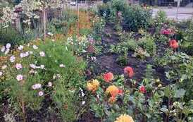 IMG-20260114-WA0006