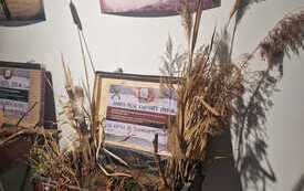 IMG-20260606-WA0005