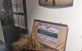 IMG-20260606-WA0004