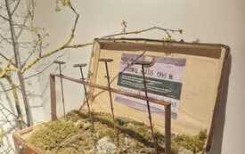 IMG-20260606-WA0003