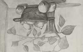 IMG-20260213-WA0026