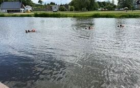 img-20260607-wa0007