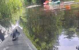 IMG-20260627-WA0039