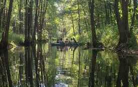 IMG-20260627-WA0007