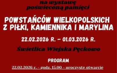 Wystawa poświęcona pamięci Powstańców Wielkopolskich z Piłki, Kamiennika i Marylina